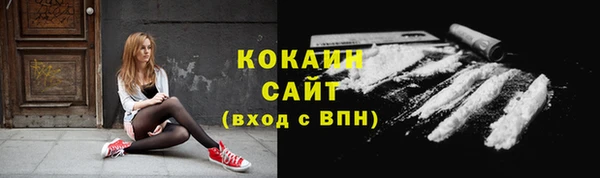 прущие грибы Навашино