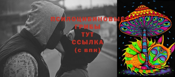 молекула духа Алзамай